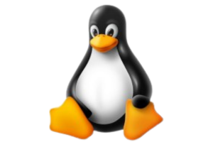 Budget Webhosting